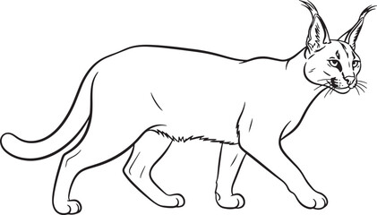 Majestic maine coon cat silhouette design