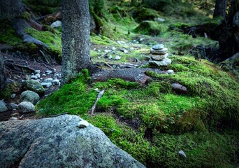 background in the forest with a pebble man