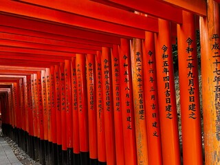 traditional japanese torii