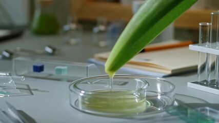 This clip showcases a scientist carefully extracting a liquid from a plant leaf in a bright laboratory.