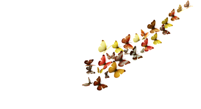 Colorful butterfly migration on black background for graphic resources usage