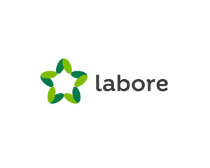 Abstract leaf star logotype. Creative eco symbol. Organic store icon vector sign.