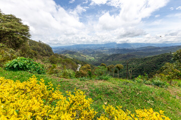Close up of lilac flower with small insect