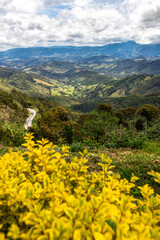 Close up of lilac flower with small insect