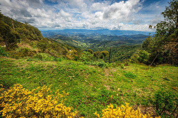 Close up of lilac flower with small insect