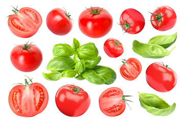 Fresh tomatoes and green basil leaves isolated on white, set