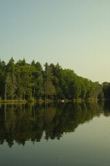 lake in the forest
