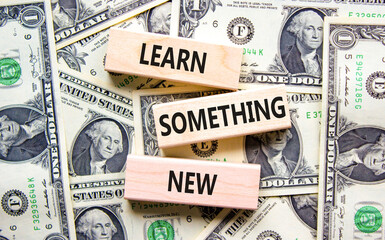 Learn something new symbol. Concept words Learn something new on beautiful wooden blocks. Beautiful background from dollar bills. Business motivational lifestyle learn something new concept Copy space