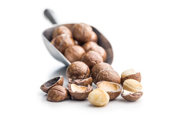 Tasty macadamia nuts in scoop isolated on white background.