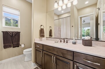 Modern Bathroom Setup, Efficient Bathroom Design Featuring Bright Lighting And Dark Wood Cabinetry