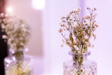 Dried flower bouquet reflected in mirror against simple indoor wall