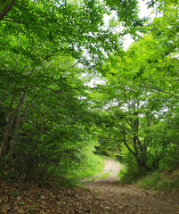 Caucasus Mountains distant mountain pictures beautiful landscape cliffs bay vital road winter snowy villages landscape photographer designer high quality download