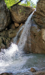 Caucasus Mountains natural mountain forest, pine trees, waterfalls, red flowers and high quality nature photographer discount landscape images for designers