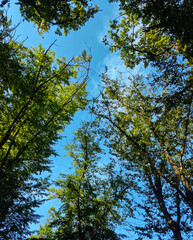 Caucasus Mountains distant mountain pictures beautiful landscape cliffs bay vital road winter snowy villages landscape photographer designer high quality download