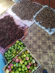 
Great Caucasus Mountain Range distant mountain pictures beautiful landscape strawflower autumn rocky bay vital road winter snowy villages landscape photographer designer high quality download