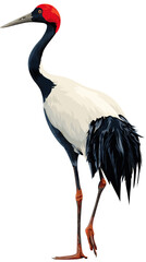 Naklejka premium Vector illustration of a red-crowned crane bird isolated on a white background