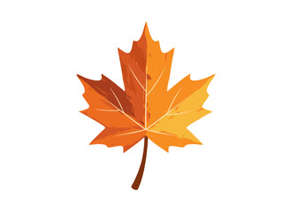 Fototapeta premium A flat vector illustration of a yellow maple leaf, used as a decorative autumn foliage element on a white background