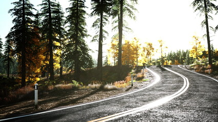 A peaceful winding road invites exploration through a vibrant autumn forest. Sunlight filters through tall trees, creating a warm and inviting atmosphere perfect for a scenic drive.