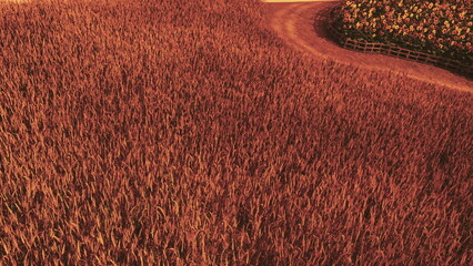 A vast expanse of golden wheat sways gently in the breeze as the sun begins to set, casting warm hues on a nearby colorful flower garden, creating a tranquil and picturesque landscape.