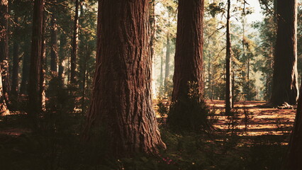 Sunlight filters through the canopy of towering trees, illuminating a serene forest path. Vibrant greens and earthy browns create a tranquil atmosphere in this lush environment.