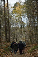 Promenade en pleine nature aux bois de Villers-la-Ville (Brabant-Wallon)