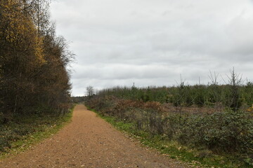 Chemin en gravier aux bois de Villers-la-Ville (Nivelles)
