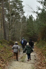 Promenade en pleine nature aux bois de Villers-la-Ville (Brabant-Wallon)