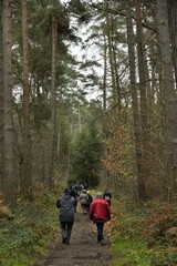 Promenade en pleine nature aux bois de Villers-la-Ville (Brabant-Wallon)