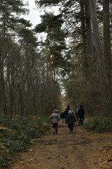 Promenade en pleine nature aux bois de Villers-la-Ville (Brabant-Wallon)