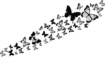 black silhouette of a butterfly