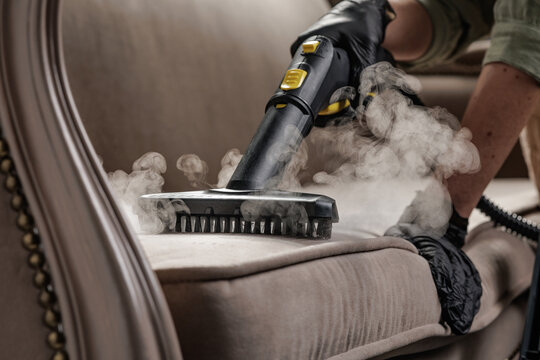 Steam brush sanitizing fabric sofa cushion during professional upholstery cleaning