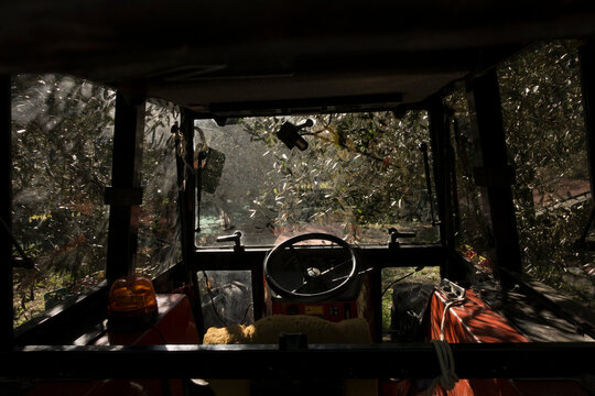 Operator's POV from Worn Tractor Cab Looking Out at Forest
