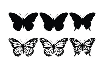 Silhouettes and detailed drawings of butterflies in rows