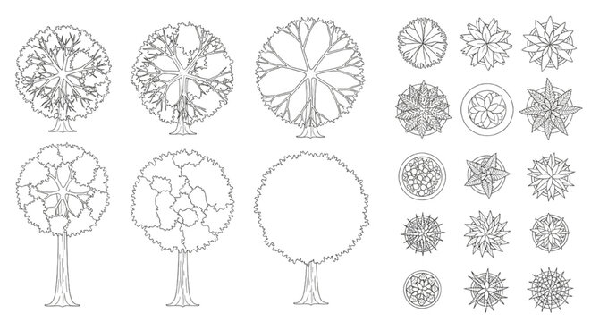Top view architectural plant symbols set. Black outline technical drawing of trees and potted plants for floor plans.