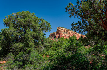 Fototapeta premium Beautiful red rocks and green forests of Sedona Arizona