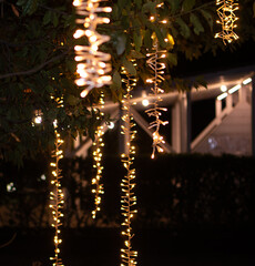Vertical Christmas Lights Hanging on Trees at Night