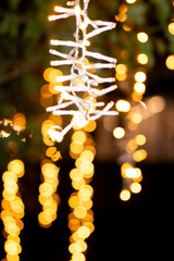 Vertical Christmas Lights Hanging on Trees at Night