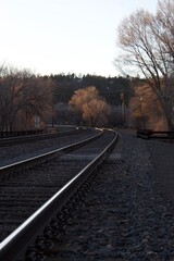 Fototapeta premium Downtown Flagstaff