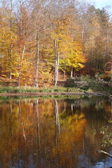 Steinbrücker Teich bei Darmstadt