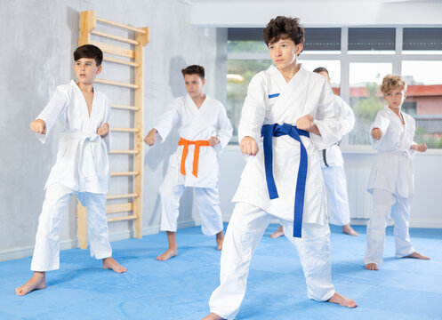Children wearing karate uniform white kimono posing fighters poses, group training on martial arts class at tatami