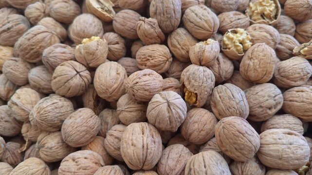 Fresh New Crop Large Walnuts on the Market Counter Footage.