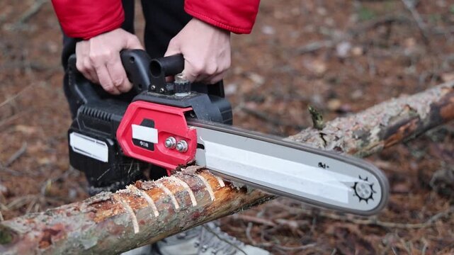 A woman holding a cordless red chainsaw. A girl is sawing a tree in a park. A cordless tool is sawing a tree. Tree cutting work in an outdoor park.
