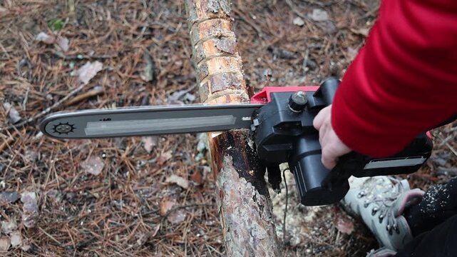 A woman holding a cordless red chainsaw. A girl is sawing a tree in a park. A cordless tool is sawing a tree. Tree cutting work in an outdoor park.