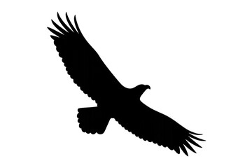 Obraz premium Eagle flying silhouette, representing freedom, power, and strength, isolated on transparent background