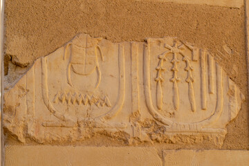 Egypt, Luxor, 01.02.2022 Close up of ancient Egyptian sandstone carving featuring a scarab symbol and floral motifs with textured weathered surface in Hatshepsut temple