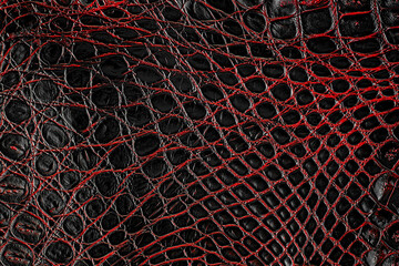 Dark red crocodile leather texture as background. Natural reptile skin. Crocodile skin pattern.