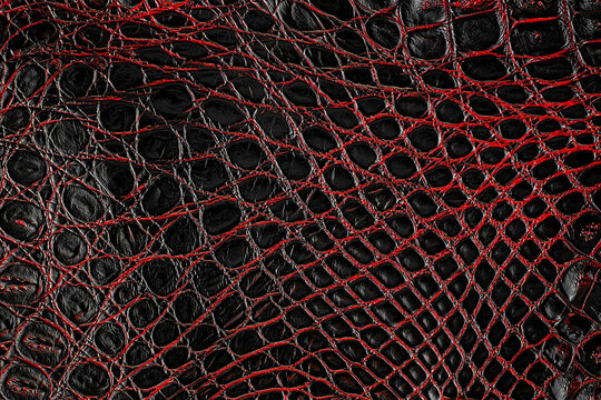 Dark red crocodile leather texture as background. Natural reptile skin. Crocodile skin pattern.
