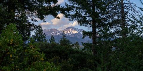 Mount Shasta framed view trees