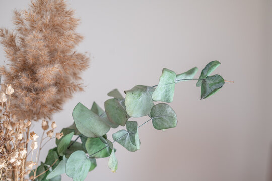 D&eacute;cor &eacute;pur&eacute; avec fleurs s&eacute;ch&eacute;es 