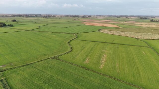Wiesen und Felder in Ostfriesland